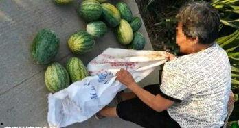 新沂新瓜最新爆料视频,最新爆料内容大起底